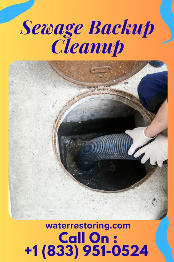 Sewage Backup Cleanup in La Jara, CO